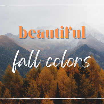 Alabama’s Beautiful Fall Colors